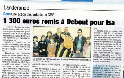 Le Journal du Pays Yonnais 01/2015